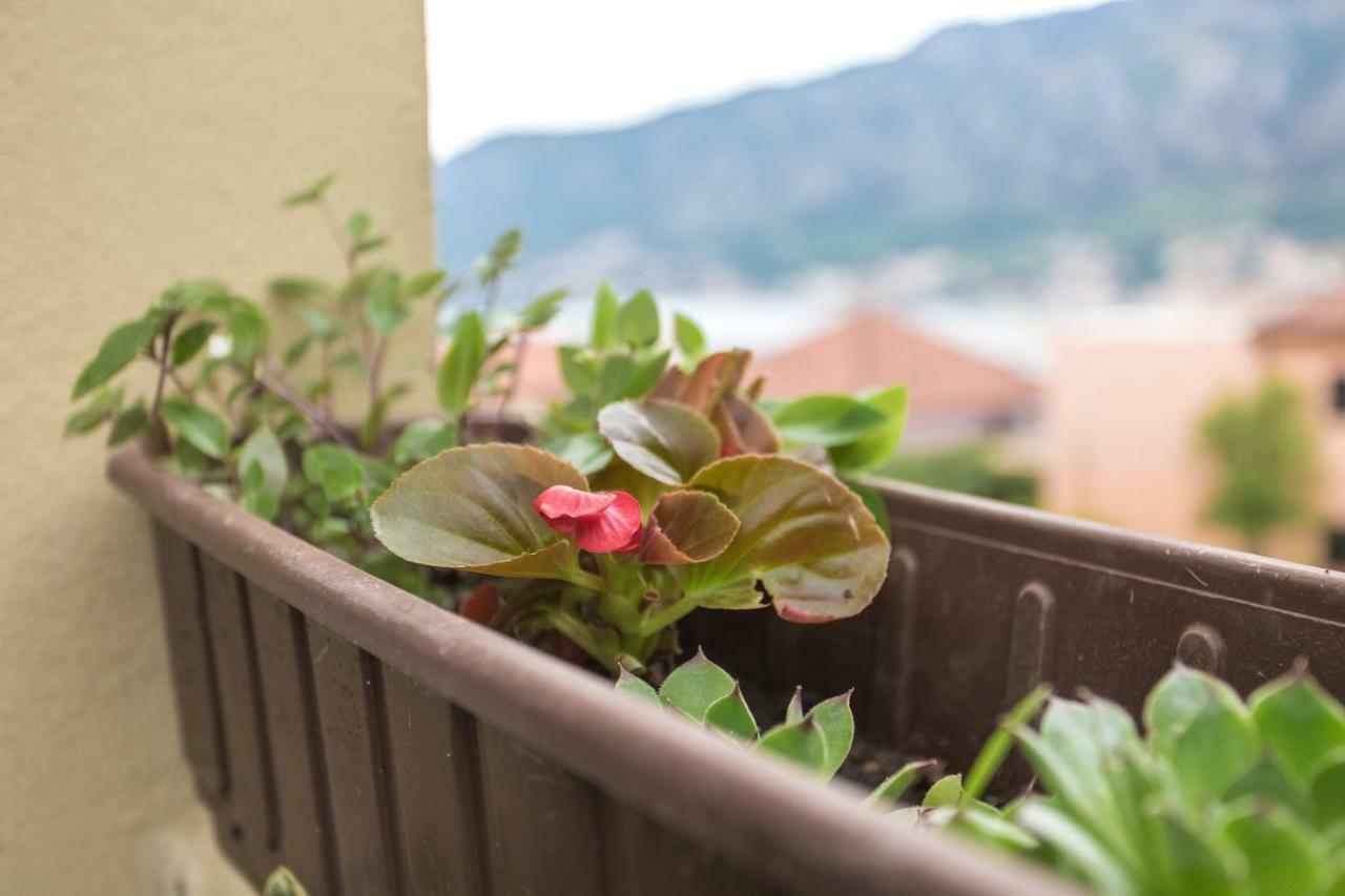 St Duke Apartment Κότορ Εξωτερικό φωτογραφία